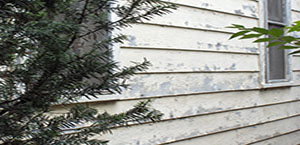 peeling opposite side